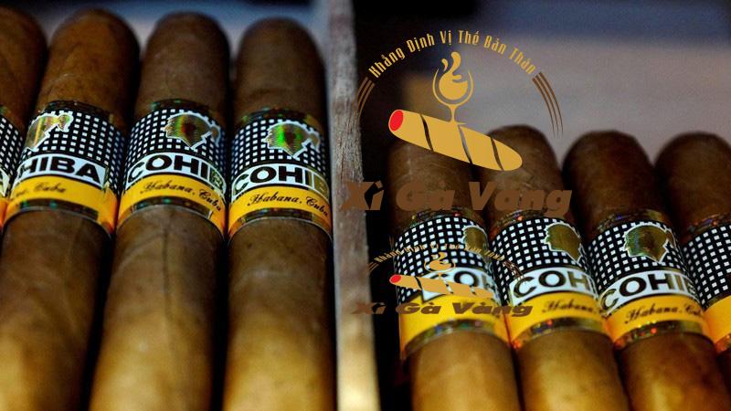 Hộp cigar Siglo I (25 điếu) được sắp xếp ngăn nắp